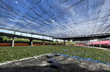 自民國三七年堅持好茶 自民國三七年堅持好茶