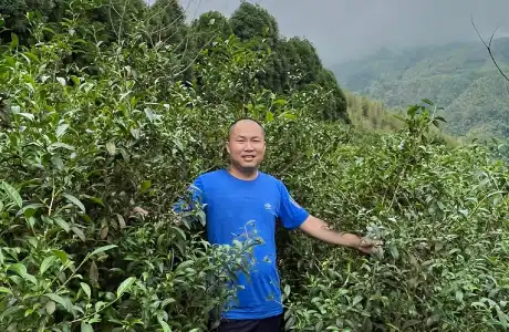 四代相傳的製茶精神 四代相傳的製茶精神