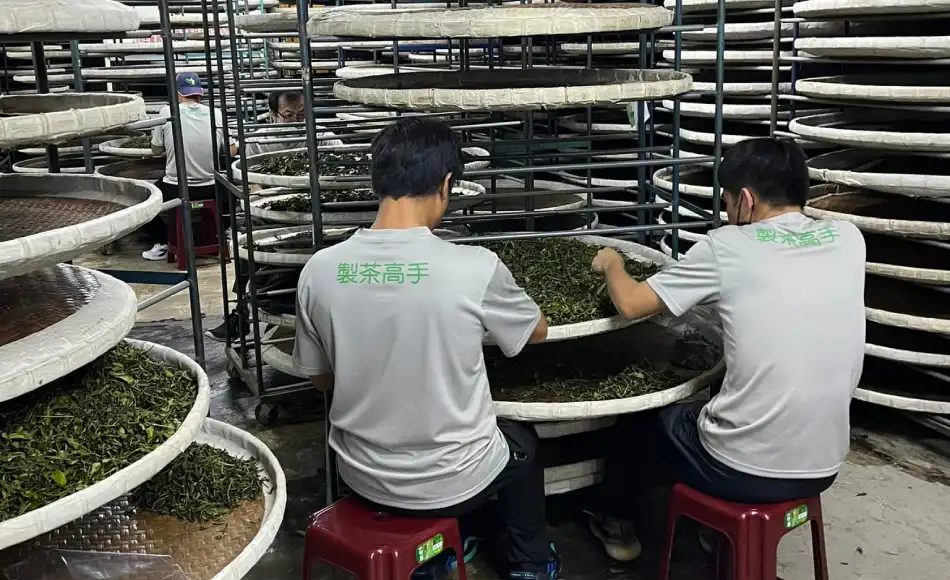 2024年獲選農業部第七屆百大青農 2024年獲選農業部第七屆百大青農