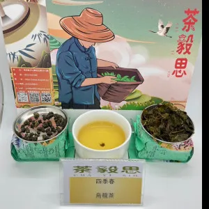 茶毅思引領四季春茶的極致 - 細緻清新的茶香之旅每包150公克